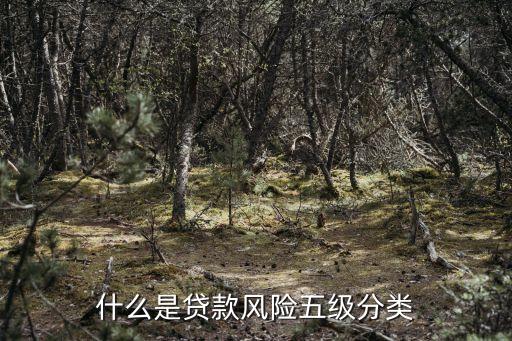 什么是貸款風(fēng)險(xiǎn)五級(jí)分類