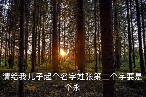 請(qǐng)給我兒子起個(gè)名字姓張第二個(gè)字要是個(gè)永