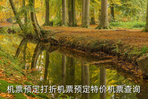 機(jī)票預(yù)定，機(jī)票預(yù)定打折機(jī)票預(yù)定特價機(jī)票查詢