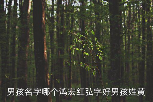 男孩名字哪個(gè)鴻宏紅弘字好男孩姓黃