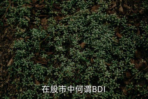 bdi指數(shù)，什么是波羅的海干散貨運價指數(shù)