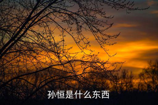 孫恒是什么東西