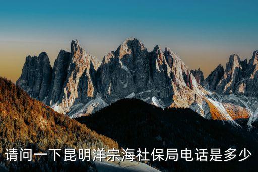 請問一下昆明洋宗海社保局電話是多少