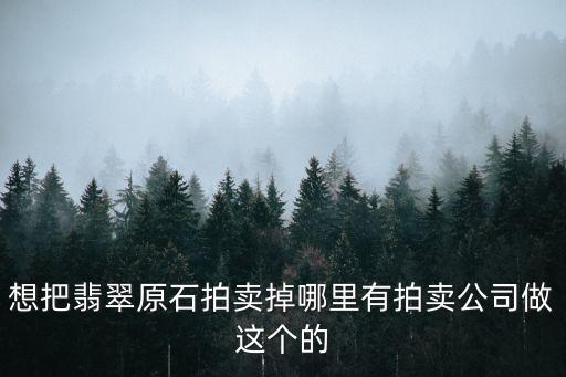 翡翠原石拍賣，哪里有翡翠拍賣行啊