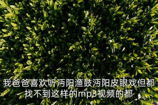 我爸爸喜歡聽沔陽漁鼓沔陽皮眼戲但都找不到這樣的mp3視頻的都
