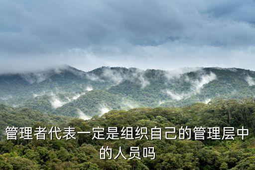 管理者代表，管理者代表可在管理層呈指派一人或多人擔當對嗎