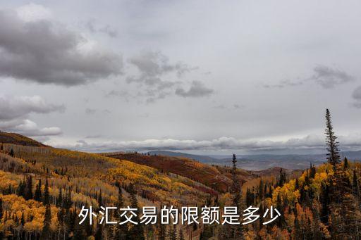 外匯額度，外匯交易的限額是多少