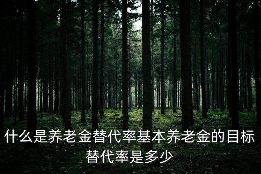 什么是養(yǎng)老金替代率基本養(yǎng)老金的目標(biāo)替代率是多少