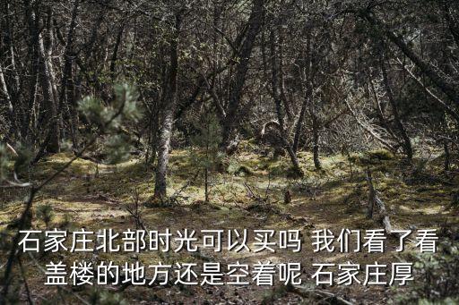 石家莊北部時(shí)光可以買(mǎi)嗎 我們看了看蓋樓的地方還是空著呢 石家莊厚