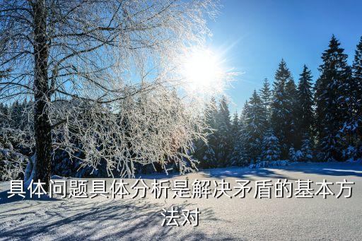 具體問題具體分析，具體問題具體分析是解決矛盾的基本方法對(duì)