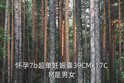 懷孕7b超單妊娠囊39CMx17CM是男女