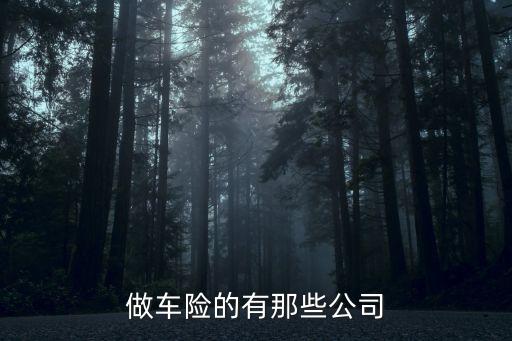 做車險(xiǎn)的有那些公司