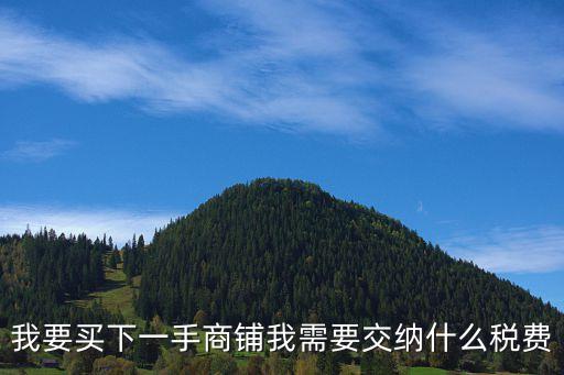商鋪稅費，買店面需要交納哪些稅收標準是多少