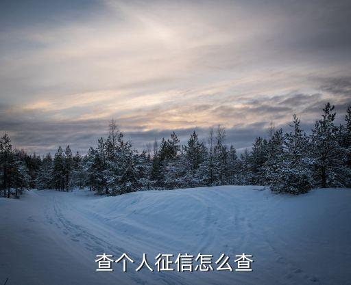 查個(gè)人征信怎么查