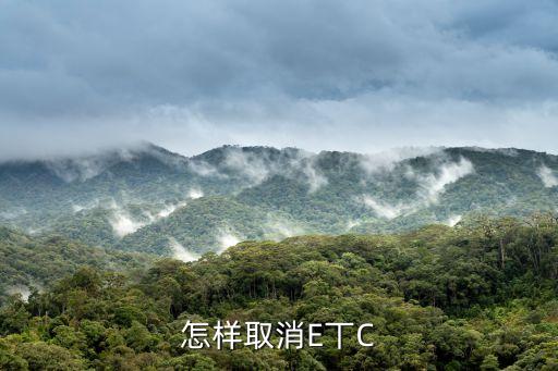 etc不用了怎么注銷，支付寶螞蟻信用上面辦理的ETC不用了如何銷戶