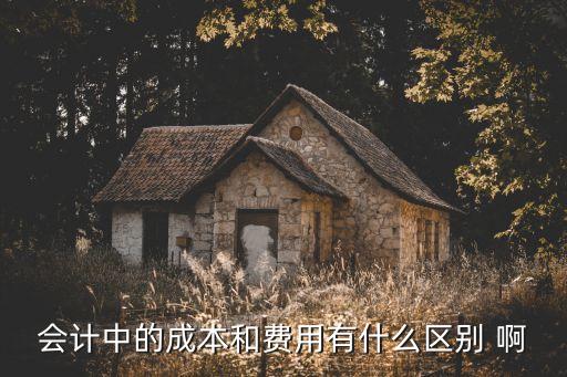 費(fèi)用和成本的區(qū)別，成本與費(fèi)用的區(qū)別