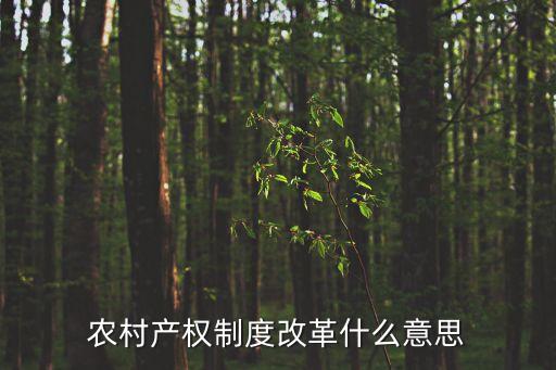 農(nóng)村產(chǎn)權(quán)制度改革什么意思