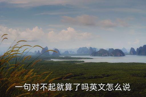一句對不起就算了嗎英文怎么說