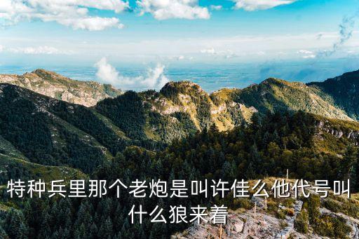 特種兵里那個(gè)老炮是叫許佳么他代號(hào)叫什么狼來著