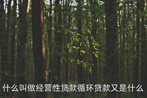 什么叫做經(jīng)營性貸款循環(huán)貸款又是什么