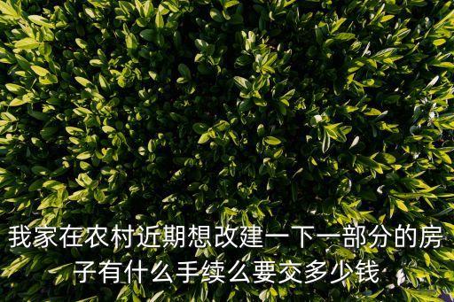 農村自建房改造，農村土坯房改造需要什么材料內墻和外墻如何抹平最好有詳細的