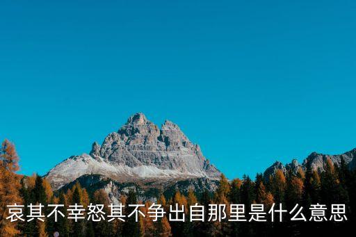 哀其不幸怒其不爭(zhēng)出自那里是什么意思