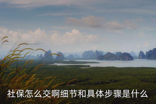 社保怎么交啊細節(jié)和具體步驟是什么