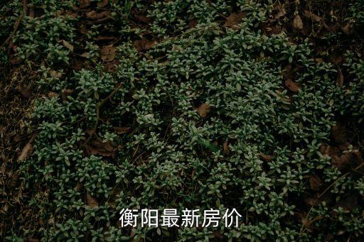 衡陽(yáng)最新房?jī)r(jià)