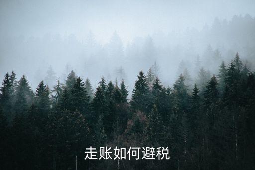 避稅2，如何做到合理避稅