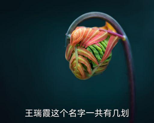 王瑞霞，王瑞霞的個(gè)人資料