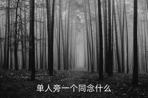 單人旁一個(gè)同念什么