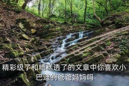 精彩級了和糟糕透了的文章中你喜歡小巴迪的爸爸媽媽嗎