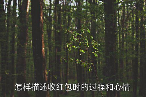 怎樣描述收紅包時(shí)的過(guò)程和心情