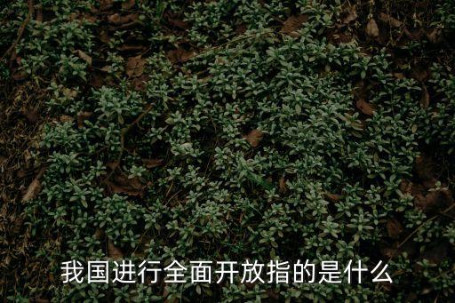 我國(guó)進(jìn)行全面開(kāi)放指的是什么