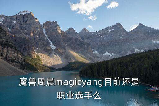 魔獸周晨magicyang目前還是職業(yè)選手么