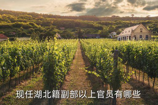 現(xiàn)任湖北籍副部以上官員有哪些