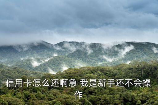 信用卡還信用卡，信用卡怎么還啊急 我是新手還不會(huì)操作