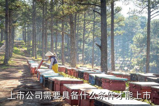 上市公司需要具備什么條件才能上市