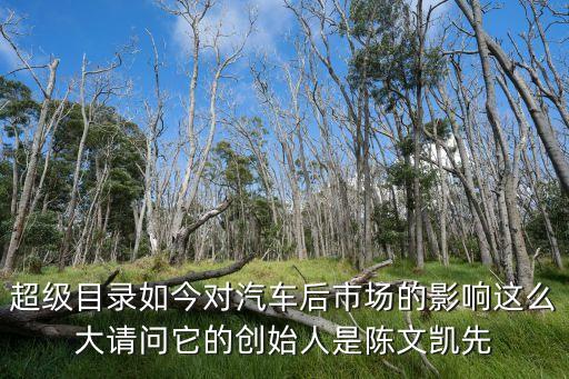 超級目錄如今對汽車后市場的影響這么大請問它的創(chuàng)始人是陳文凱先
