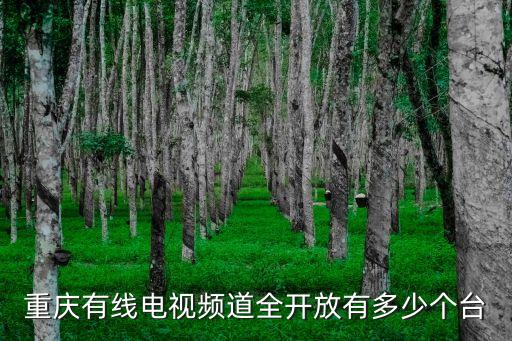 重慶有線電視，重慶有線電視費每月多少錢