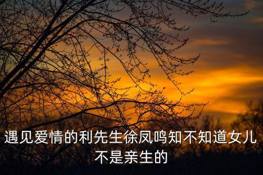 徐鳳鳴，徐鳳鳴