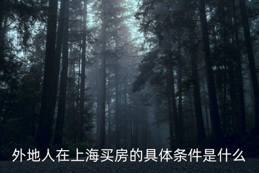 外地人在上海買(mǎi)房的具體條件是什么