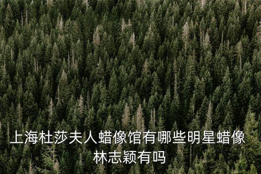 上海杜莎夫人蠟像館有哪些明星蠟像 林志穎有嗎
