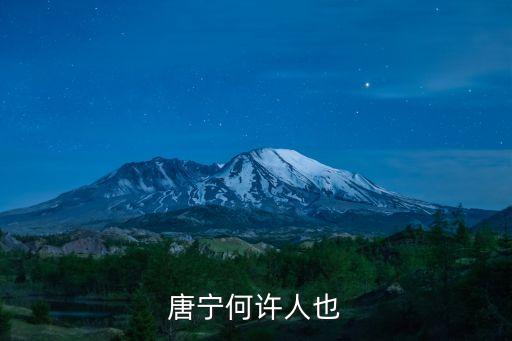 唐寧，TVB女星唐寧的資料以及境況