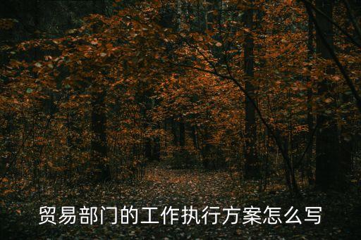 執(zhí)行方案，詳細(xì)的促銷活動(dòng)執(zhí)行方案