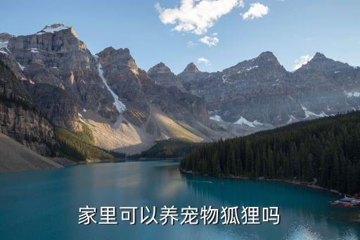 家里可以養(yǎng)寵物狐貍嗎