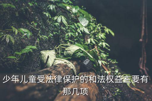 兒童保護，國家對兒童有哪幾點保護