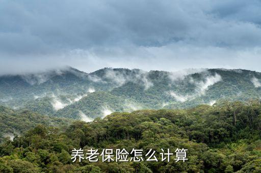 養(yǎng)老金計(jì)算器，養(yǎng)老保險(xiǎn)怎么計(jì)算