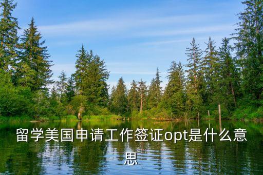 留學(xué)美國(guó)申請(qǐng)工作簽證opt是什么意思