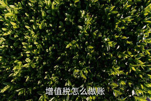 增值稅的會計處理，增值稅怎么做賬